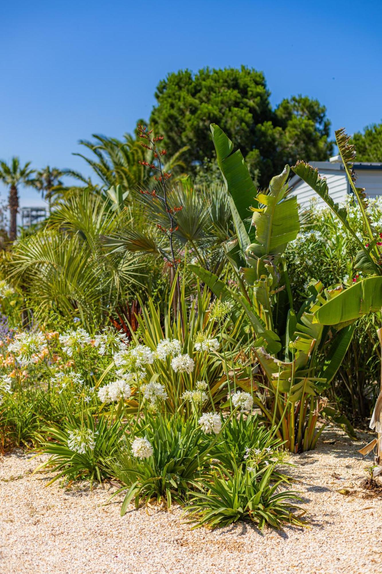 Residence Antinea Argelès-sur-Mer Eksteriør bilde